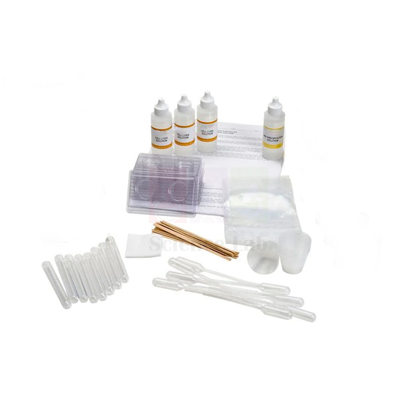 DNA extraction lab kit